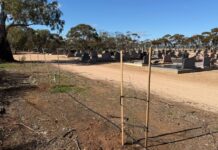 New works for cemeteries