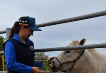 Students show the way