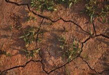 Boost for state’s drought-hit businesses