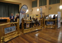 A fresh canvas for ABWA