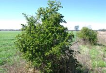 Providing a greener future