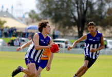 Lions roar to grab premiership victory