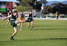 Cats, Port chase glory