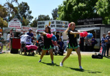 What’s on at the picnic this year?