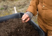 Rural women take the lead