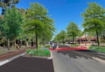 The Terrace gets a green makeover