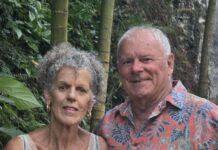 Kinship care a journey