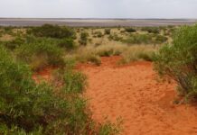 Friends of Parks grants now open