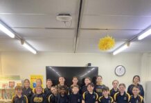 Stories shared by students