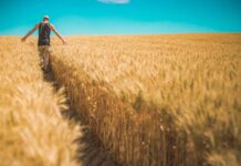 GrainGrowers host key consultation meetings