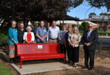 Voices against family violence