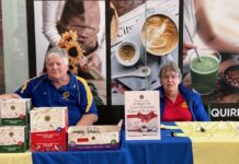 Lions’ festive sweet tooth