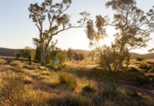 National park closes for pest control