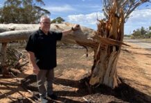 Port Pirie mayor provides storm update