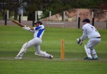 Lights, cameras, cricket!