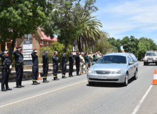 In honour of Peter Curtis