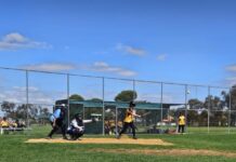 Crowds, and cracking hits