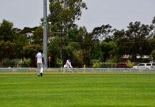 Props sits top of ladder