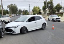 Youths arrested in stolen car after fuel drive off