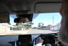 Rise in kangaroo crashes