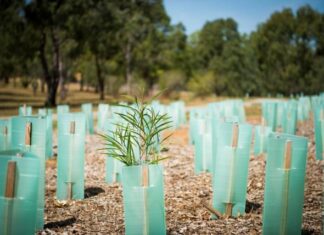 Catchment revival push