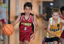 Basketball season to resume soon