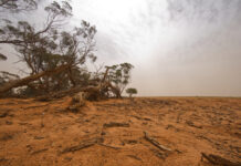 Assistance for drought-affected businesses