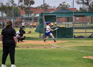 Solly Cats stay strong against Checkmates