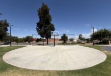 Council calls for artists