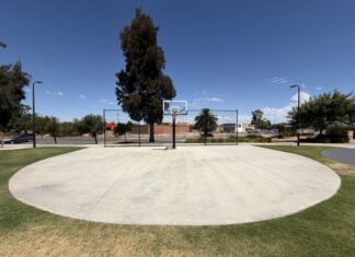 Council calls for artists