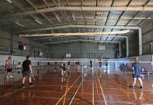 Taskforce to target insulator pollution