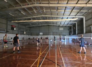 Taskforce to target insulator pollution