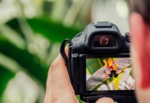 Discover what’s on in the Spencer Gulf