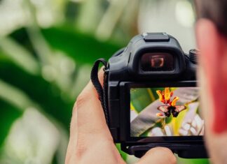 Discover what’s on in the Spencer Gulf