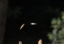 Northern side makes final