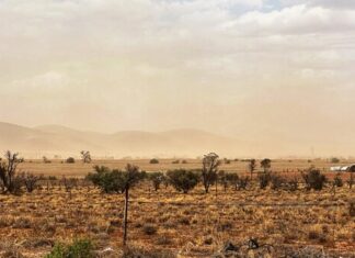 Mixed results in lead report