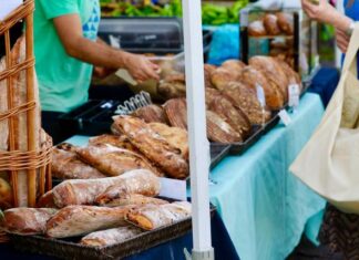 Discover what’s on in the Spencer Gulf