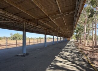 Rail platform upgrade on council agenda