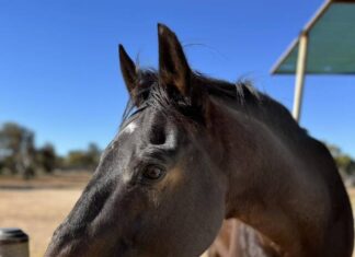 Help riders, community