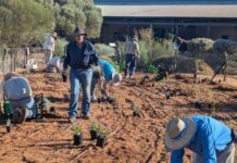 Charging up local groups