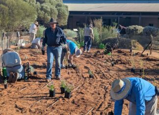 Charging up local groups