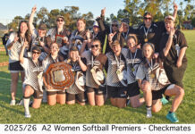 Great softball finals games