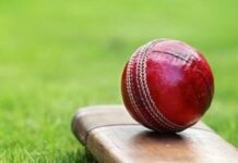 Cricketers display talents