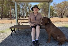 Fresh look for dog park