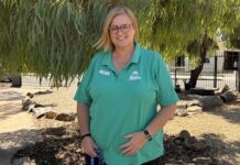 Kindy celebrates inclusion