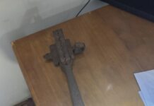 Kitten injured in illegal steel trap