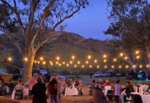 Great mix of musicians to line up at Music Muster