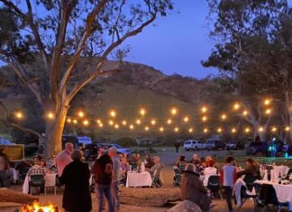 Great mix of musicians to line up at Music Muster