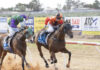 First race meeting held at Port Augusta Race Club