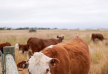 Join sustainable farm plan